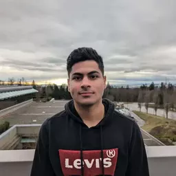 Seyed Arad Shojaee's profile picture